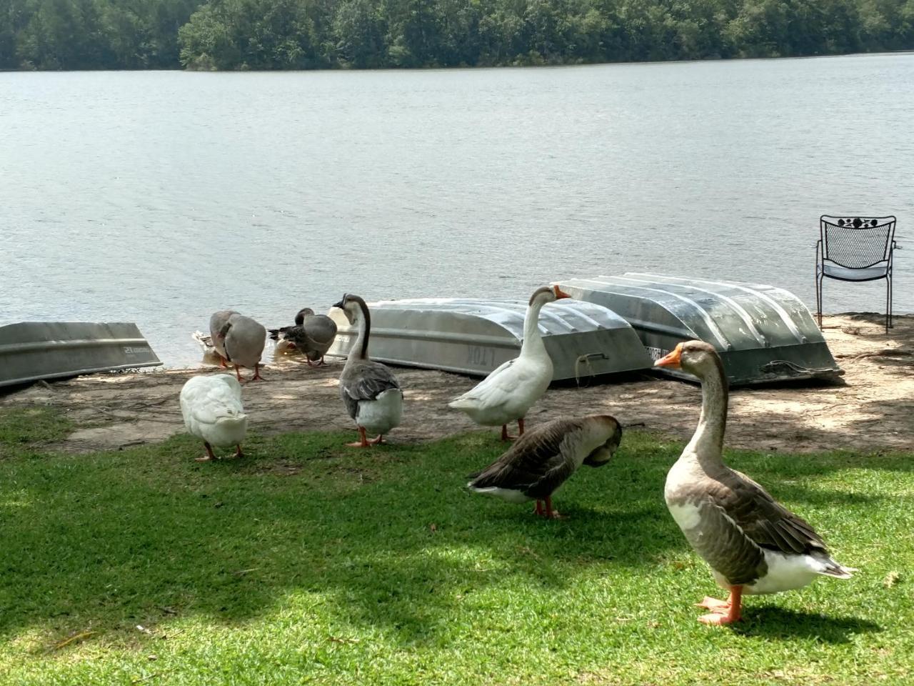 Lake Tiak - O'Khata Resort Louisville Luaran gambar